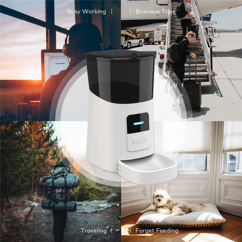 6L Smart Wi-Fi Enabled Automatic Pet Feeder for Cats and Dogs with App Timer and Large Capacity Food Dispenser